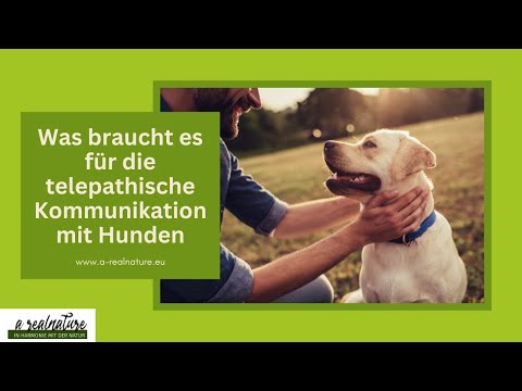 Was braucht es für die telepathische Kommunikation mit Hunden