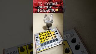 【ぬいぐるみが動き出すほどのニュース】Roland TR-1000 買えない／売れすぎ問題