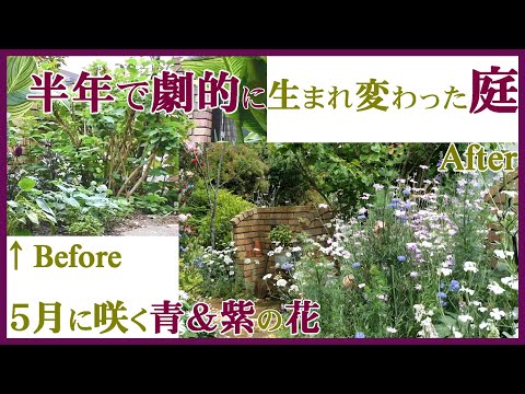 ウィンター ガーデンのエキゾチックなフルーツ 庭の練習