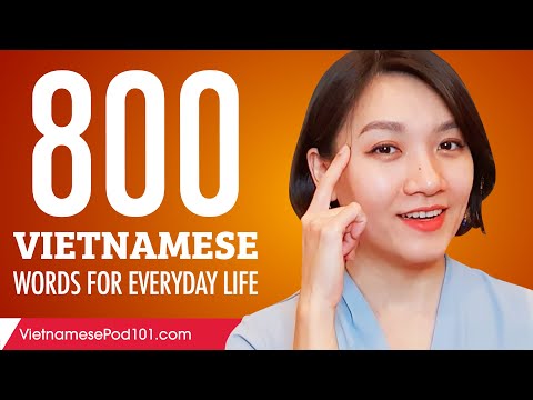 800 Vietnamese Words for Everyday Life - Basic Vocabulary #40