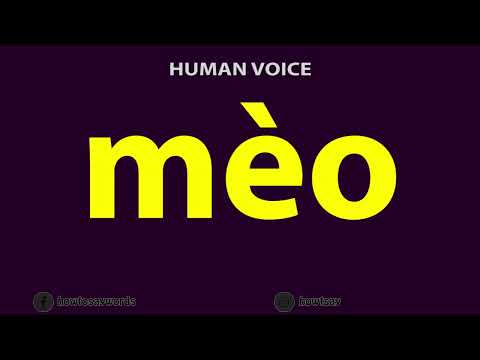 How To Pronounce meo