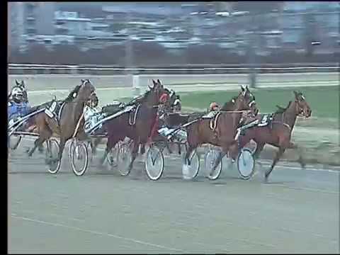 Trotto 05/02/2017 - 4ª corsa