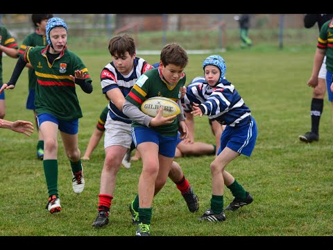 Finale Prvenstva Srbije za petliće - Teren B 28.11.2020.