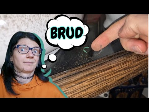 WIOSENNE PORZĄDKI - MYCIE OKIEN I DUŻO BRUDU