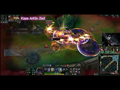 Zed Montage 2023