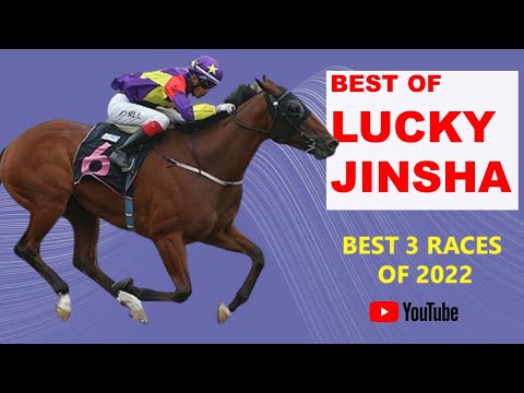 BEST OF LUCKY JINSHA - SINGAPORE TOP HORSE - 8 WINS FROM 17 STARTS