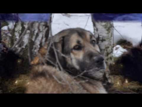 DADDY SPIEWA - POZEGNANIE