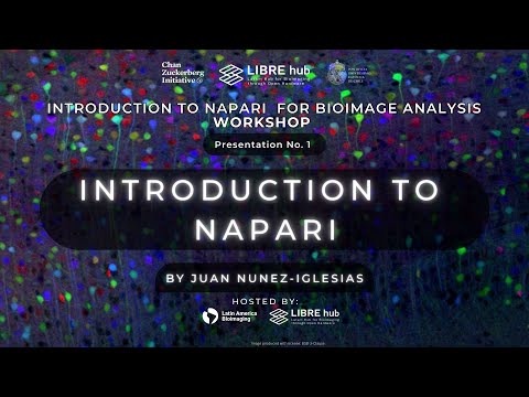 Introduction to Napari for Bioimage Analysis | Juan Nunez-Iglesias