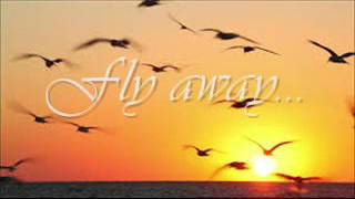 John Denver   -   Fly Away