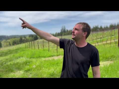 Sequitur | Beaux Frères Vineyard Designate Series