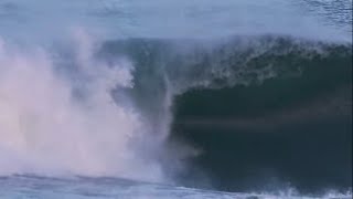 Official Presentation - THE PUERTO PADI