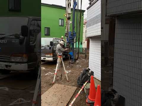 支柱があるかどうかに関係なく、若い木には根系の比率が小さく、幹には重い樹冠が付いています。