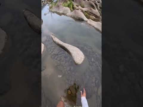 While Walking, The Boy... Found A Watermelon In The River 🤯