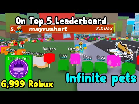 Buying The Infinite Pet Gamepass In Roblox 4 4 Mb 320 Kbps Mp3 - buying 35k robux youtube