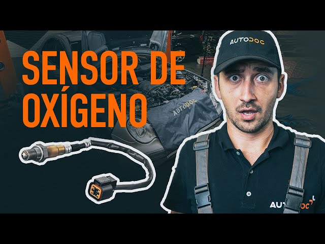 Que Sonda Lambda lleva el AUDI COUPE 1987