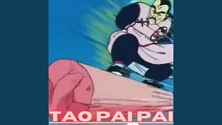 Cover art for Tao Pai Pai