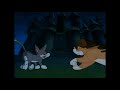 Animaniacs Let S Try For Two Polish