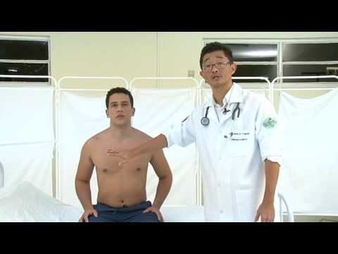 Semiology of the Respiratory System - Percussion