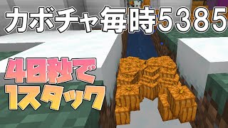 #51 高効率！全自動カボチャ畑にリベンジ！【気分的マイクラ】