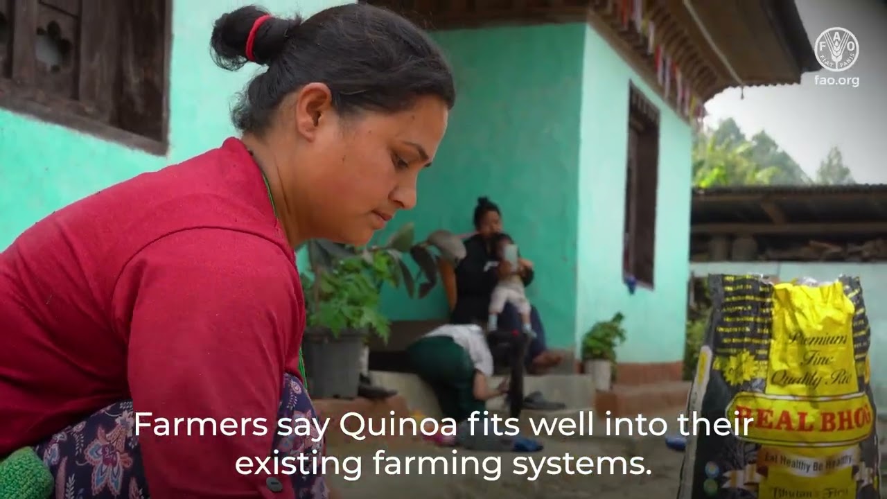 Scaling Quinoa as Bhutan’s Special Agricultural Product (non-technical)