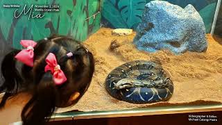 Happy Birthday Mia - November 2, 2024