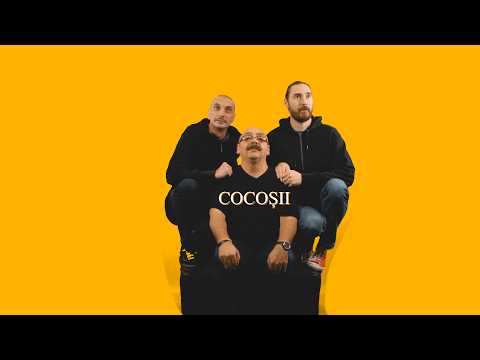 folkfrate - toamna (lyric)