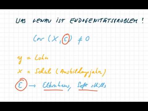 Endogenitätsproblem