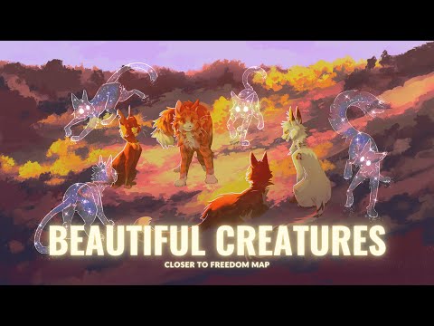 BEAUTIFUL CREATURES | Ближе к свободе MAP