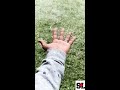 Snow Fall In Slow Motion Aarau Switzerland