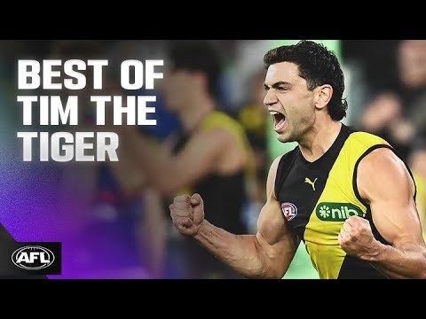 Could this guy win the Brownlow?