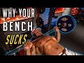 Why Your Bench Sucks (How To Fix It) | Supplement Stack