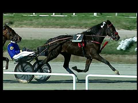 Trotto 26/01/2021 - 1ª corsa