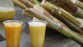 El Jugo de Caña de azúcar, una bebida de tradicón (Guarapo) - TvAgro por Juan Gonzalo Angel