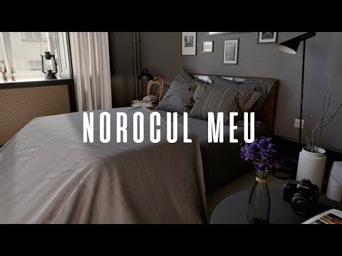 Arkanian ✘ INGRID - Norocul Meu 🍀 Official Video