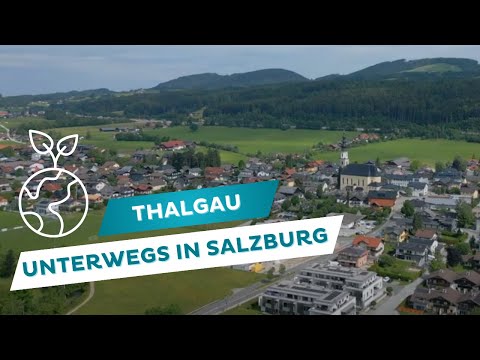 Unterwegs in Salzburg 🚎 - Thalgau