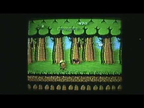 Adventure Island - 734,860 - Area 1