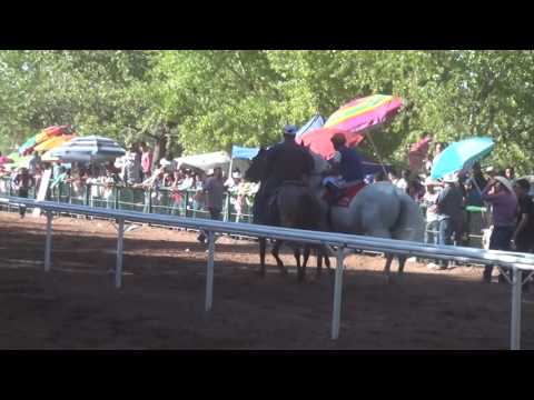 EL DALMATA VS EL VARINGAS 125 VARAS CARRIL VALLE SAN BUENAVENTURA CHIHUAHUA 14 DE JULIO DEL 2016