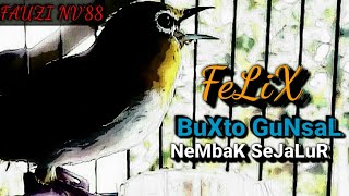 Download lagu PLECI BUXTONI GUNSAL 'FELIX' NEMBAK WITWITWIT SEJALUR || MILIK FAUZI-NV'88 mp3
