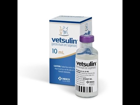 1st YouTube video about how long can vetsulin be unrefrigerated