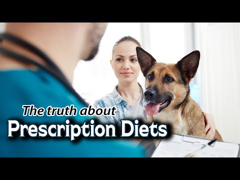 Prescription Diets for Kidney Disease in Dogs & Cats
