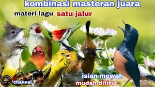 Download lagu KOMBINASI MASTERAN PALING DI CARI JURI || murai batu kacer cucak ijo mp3