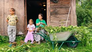 Winter Prep Starts Now! Summer Homestead Vlog