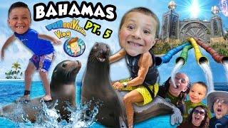 KIDS PLAY w. SEA LIONS + POWER TOWER WATER SLIDES!! (FUNnel Vision LEAVES Bahamas (◕︵◕) Trip Part 5)