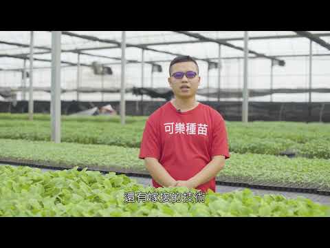 百大青農輔導計畫-可樂種苗