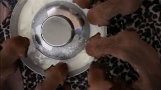 Rhodesian Ridgeback Puppies Eating First Meal