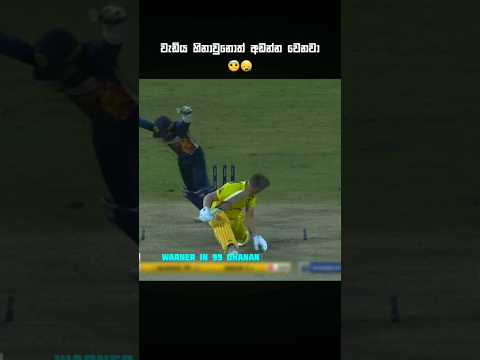 එහෙම කරන්න එපා පව් නේ 😮‍💨😇 #trending #cricketlover #cricketshorts #moments #cricket #srilanka #sad