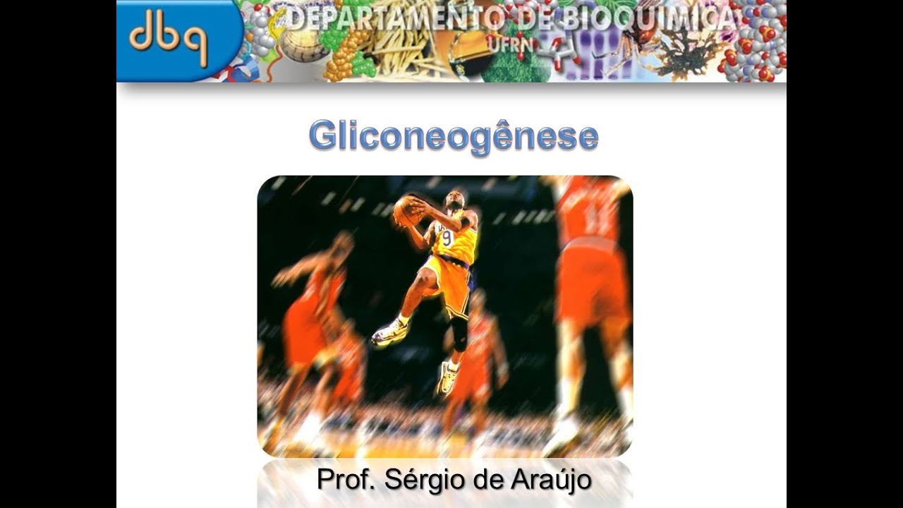 Curso de Bioquímica: Neoglicogênese (Parte I)