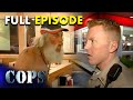 Chaos Erupts At A Fast Food Restaurant FULL EPISODE Season 18 Episode 09 Cops TV Show
