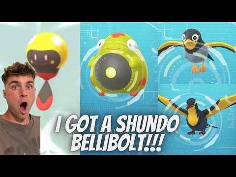 ✨💯I GOT A SHUNDO BELLIBOLT IN POKEMON GO!!!💯✨