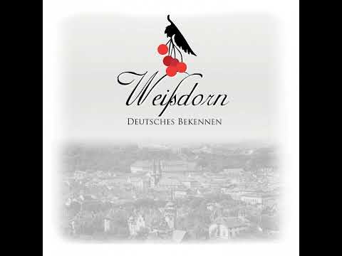 Weißdorn - Was uns bleibt